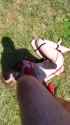 kicking3_thumb.jpg