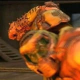 116666634_188316372654026_9042519345478534559_n