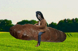 LOG.RANGER.......