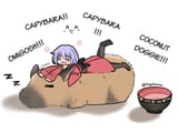 shinmy on a capybara