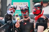 puppies-in-group-fair-1024x683