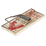 Mousetrap