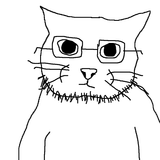 gatto