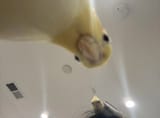 2y