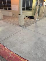 I fought the law and the law won
