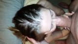 1491200636341