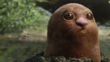 digglet the mole poke