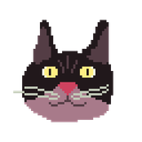 Catto