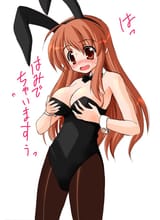 10133 - brown_eyes brown_hair bunnygirl cheveux_longs collant mikuru oreilles_animaux oreilles_de_lapin sugina_fujitaka traduction
