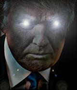 765 - 2024 election meta_not_a_frog trump