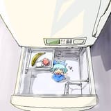 CIRNO IN THE FRIDGE