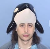 orca-shane