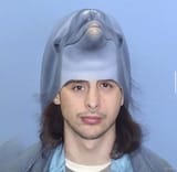 dolphin-shane