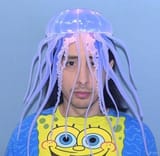 jelly-shane