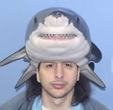 shark-shane