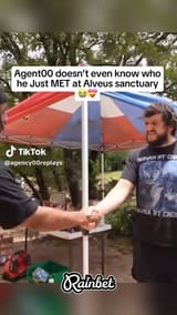 work bf vs actual bf