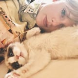 rs_1080x1080-190530093054-taylor-swift-cat-2-850563521