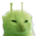 glorp
