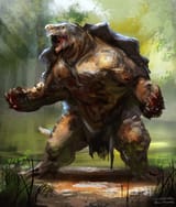 turtle ascention