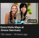 35140
