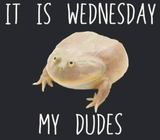 1744097187495029