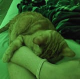 20250707_001750(1)(1)