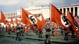 hitlernazisdpagjpg100~_v-gseagaleriexl