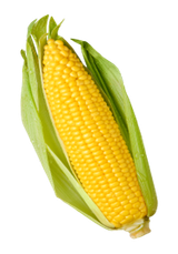 corn-lg