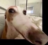 484896863_604214089281611_7145635453575852384_n