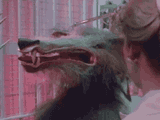 howl3_mydogissick