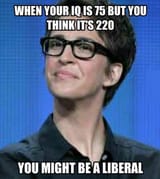 IQ