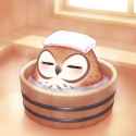 WAN_video_00810_thumb.jpg