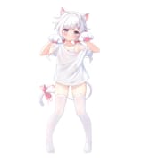 sample_66af0e4cde4ea6df2ce04d40fd33878b