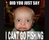 funny fish haa