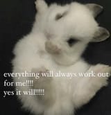 bun_POSITIVE