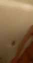 1726837700704156_thumb.jpg