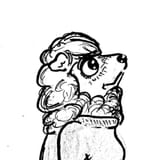 dumbsheep