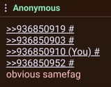 NopeNotSameFag