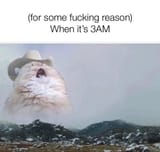 3_AM