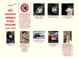 Screenshot 2025-07-09 at 08-57-59 _b_ - Random - Catalog - 4chan