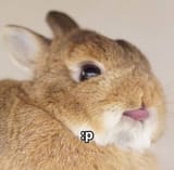 Grf_8uTakAAeA9c