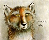 tibet fox is serious baby