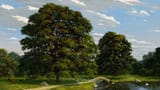 philipp-a-urlich-trees-5c