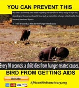 1748641479370328