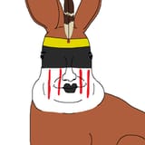 nativeamericanbnuuy