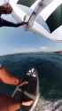 Whale Bonk_thumb.jpg