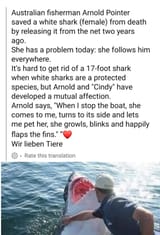 Clingy shark gf