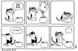 cats1