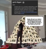 GoldDiggerWhoreEmiru