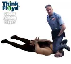 THINK FLOYD_4895_thumb.jpg